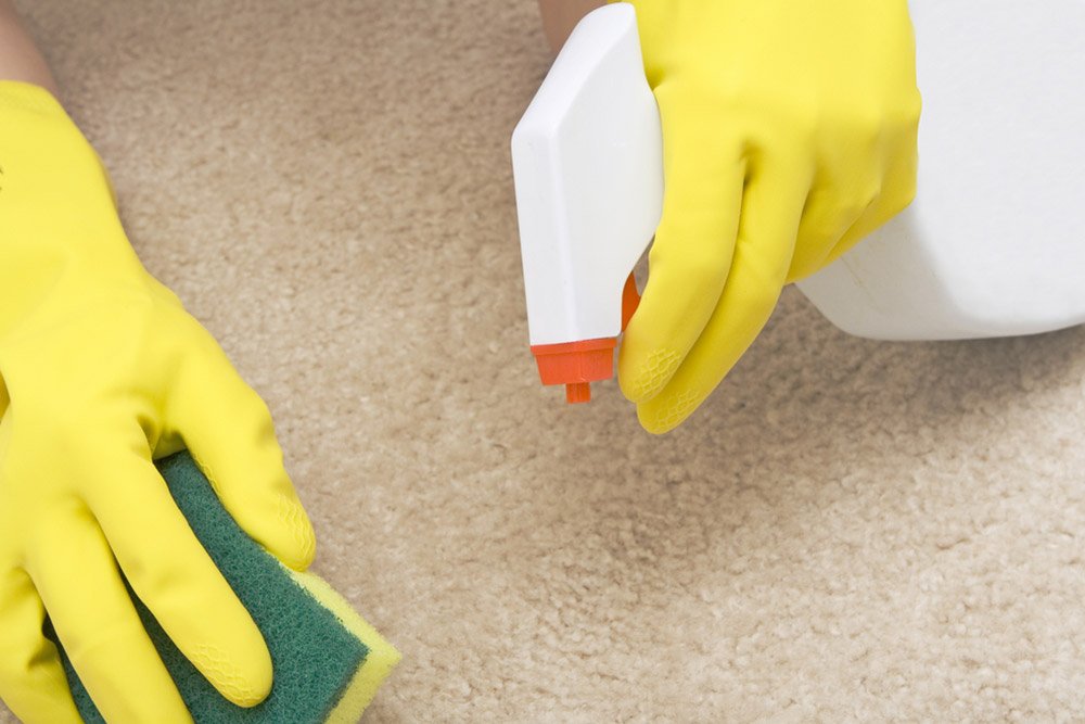 Domestic Cleaning Richmond TW9